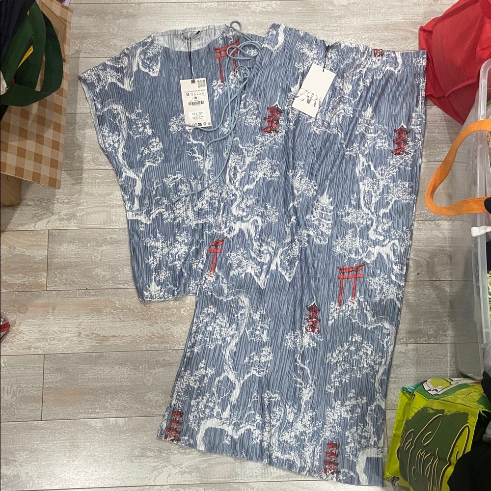Zara pleated top and skirt set NWT